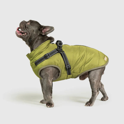 DoggyKings™ 3-i-1 hundefrakke