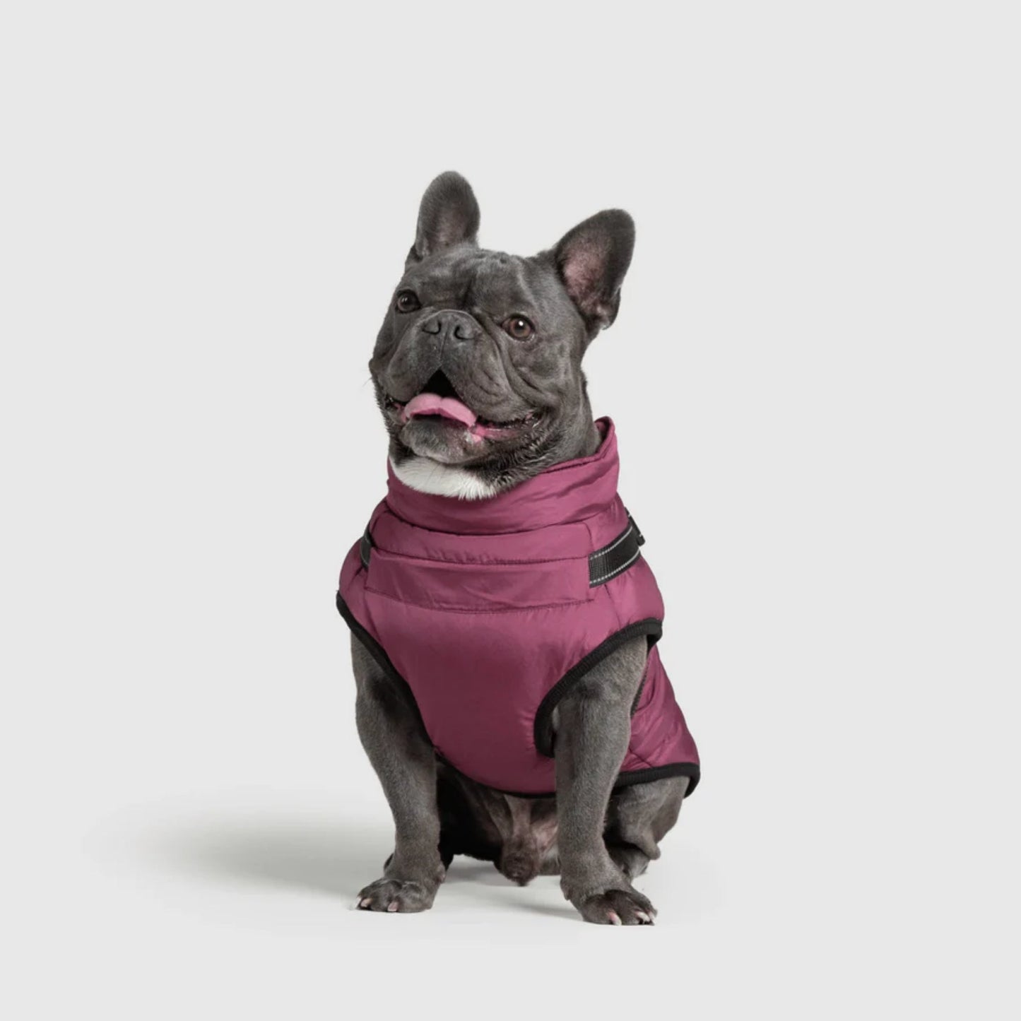 DoggyKings™ 3-i-1 hundefrakke