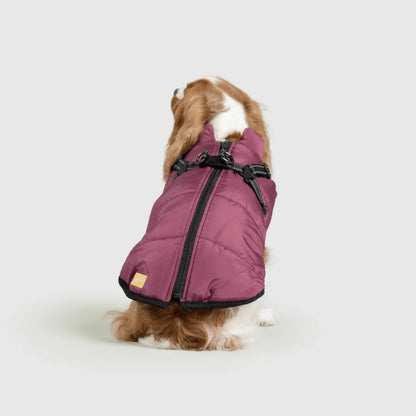 DoggyKings™ 3-i-1 hundefrakke