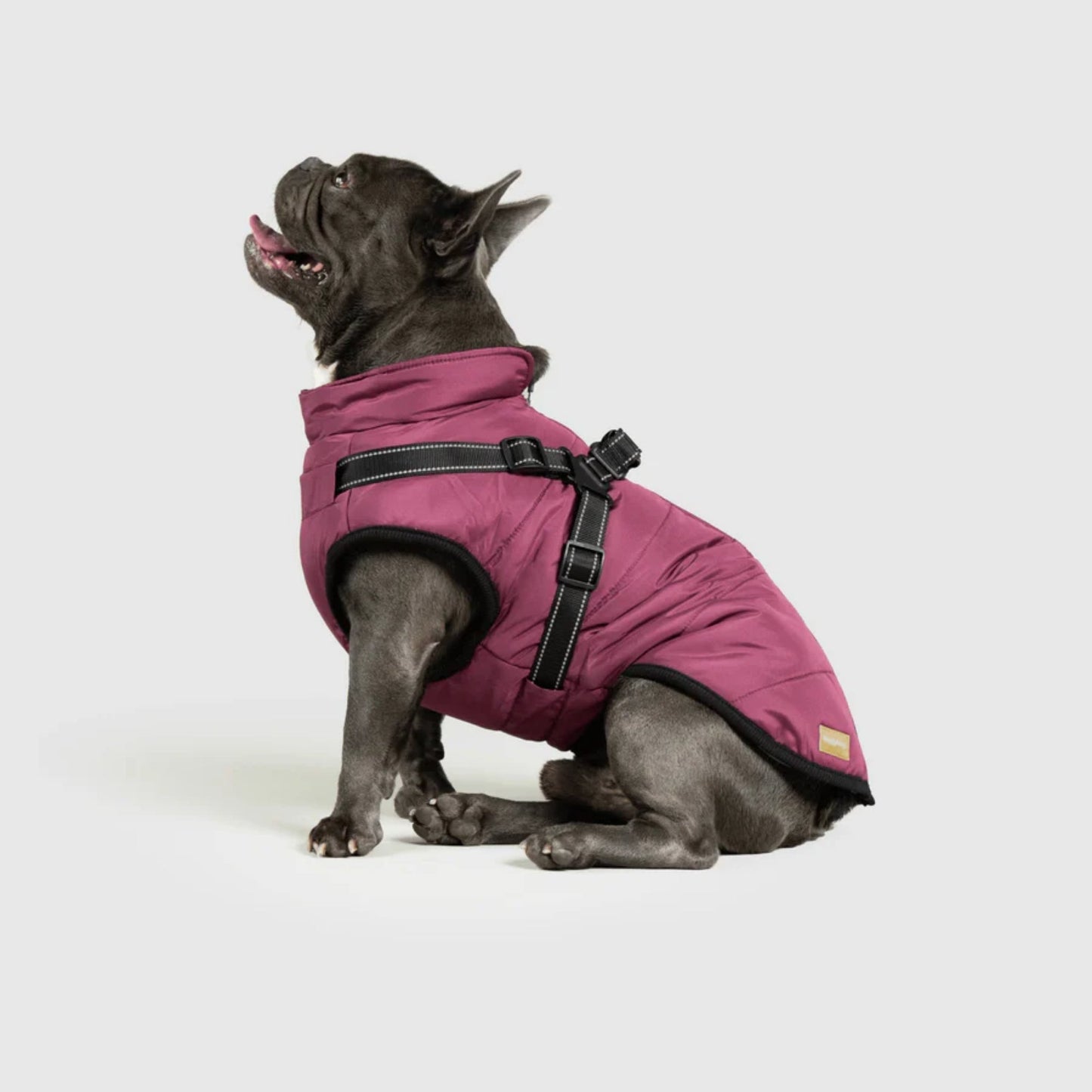 DoggyKings™ 3-i-1 hundefrakke