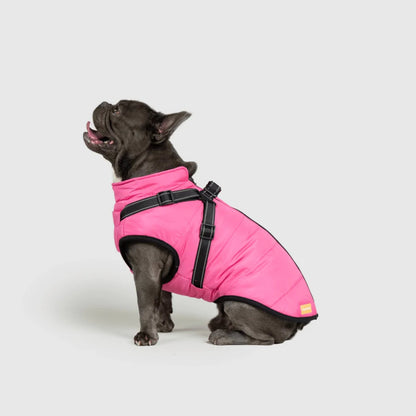 DoggyKings™ 3-i-1 hundefrakke