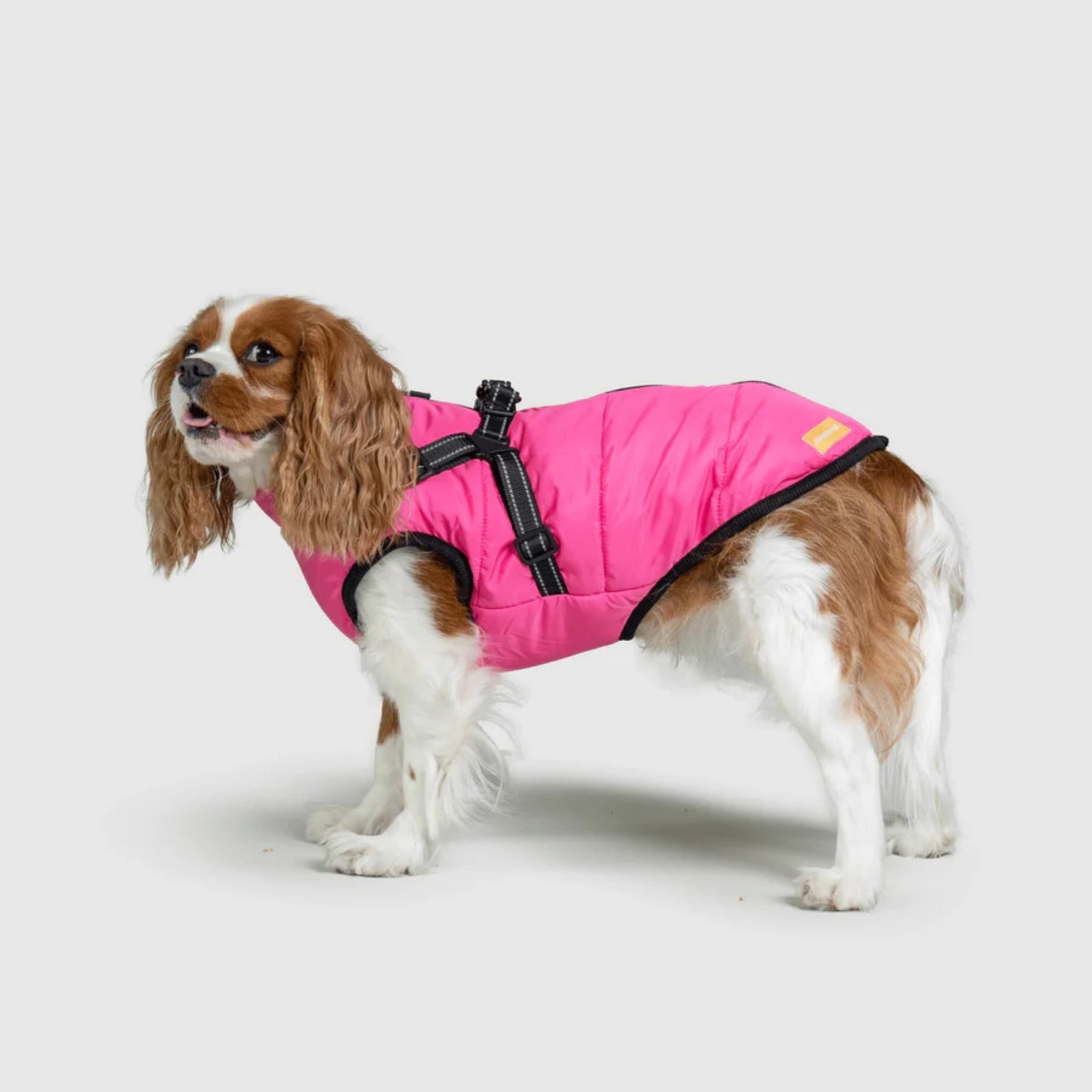 DoggyKings™ 3-i-1 hundefrakke