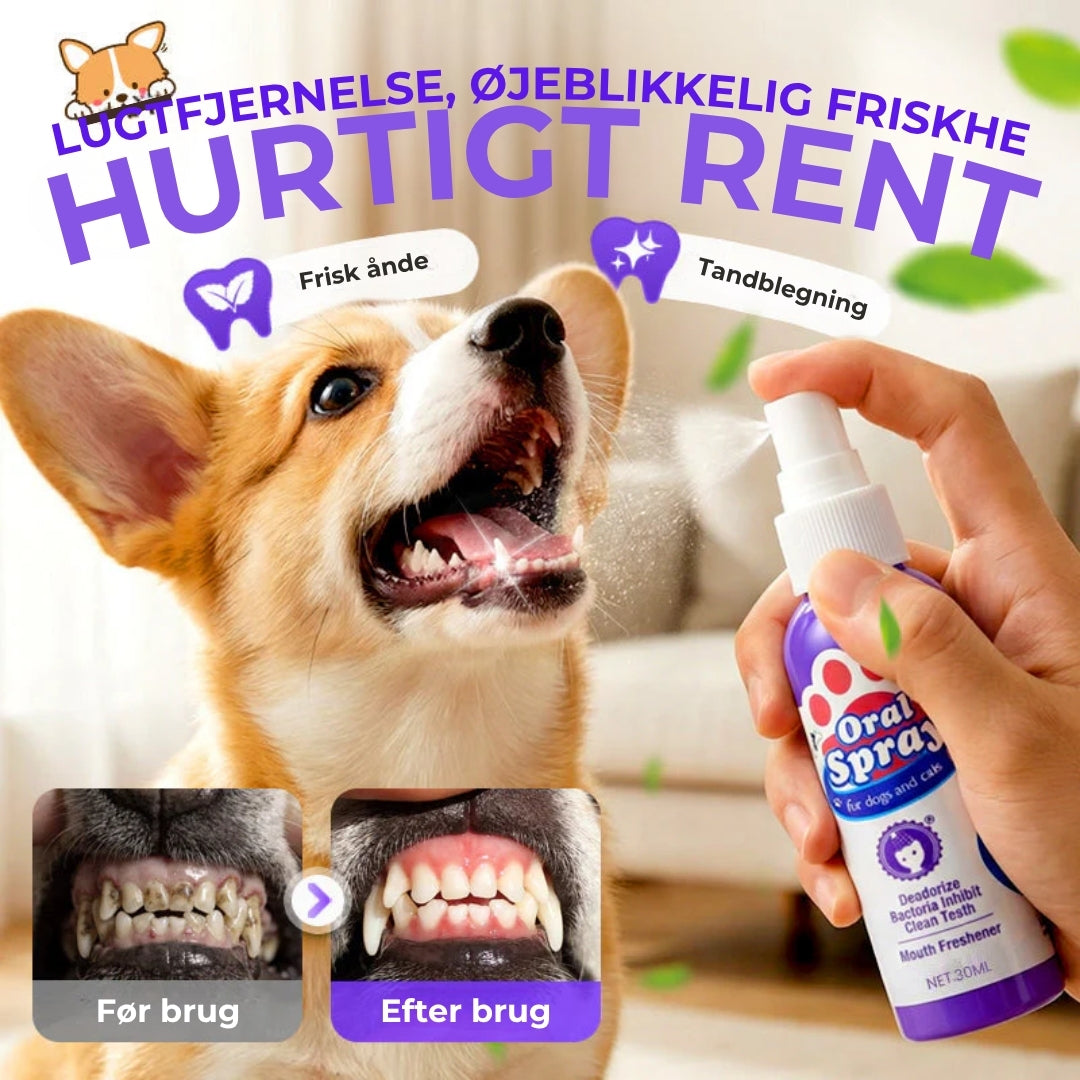 Tandrensningsspray til kæledyr