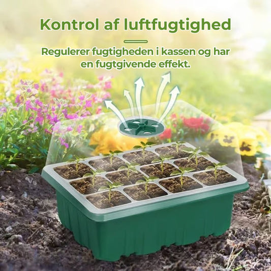 Frøbakker med vækstlampe