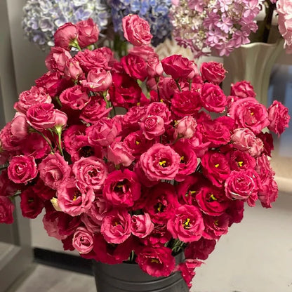 Eustoma – tornfri roser – frø (100 stk.) 💐 Lisianthus-frø