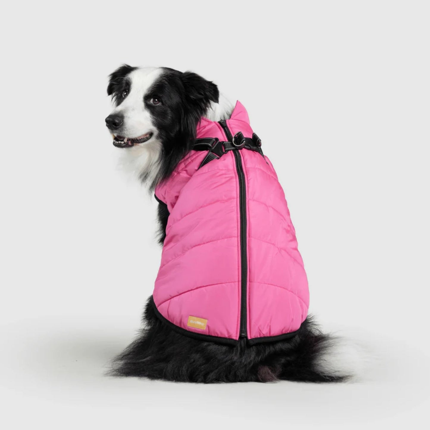 DoggyKings™ 3-i-1 hundefrakke
