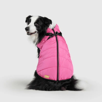 DoggyKings™ 3-i-1 hundefrakke