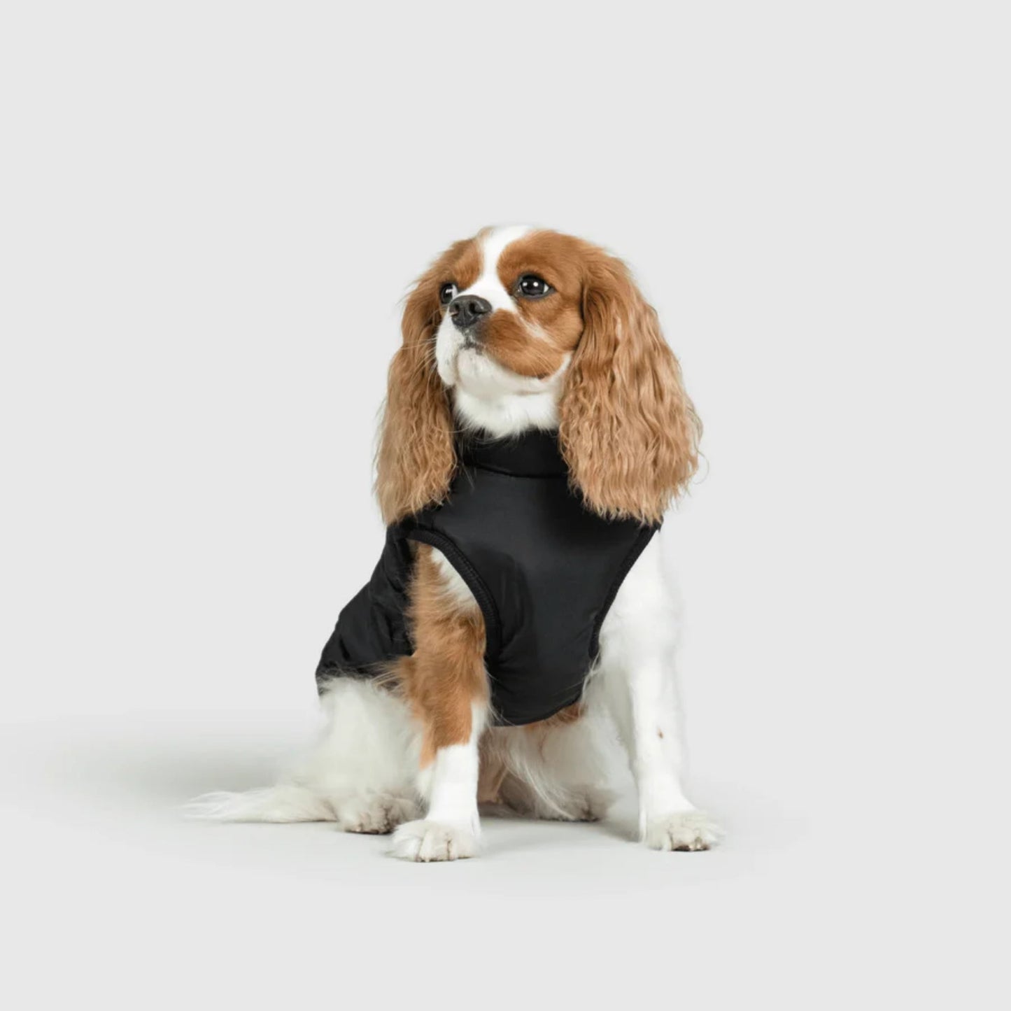 DoggyKings™ 3-i-1 hundefrakke