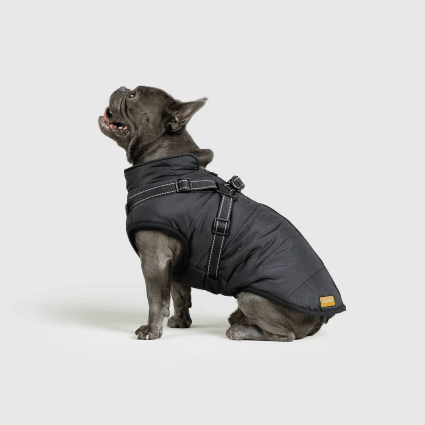 DoggyKings™ 3-i-1 hundefrakke