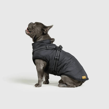 DoggyKings™ 3-i-1 hundefrakke