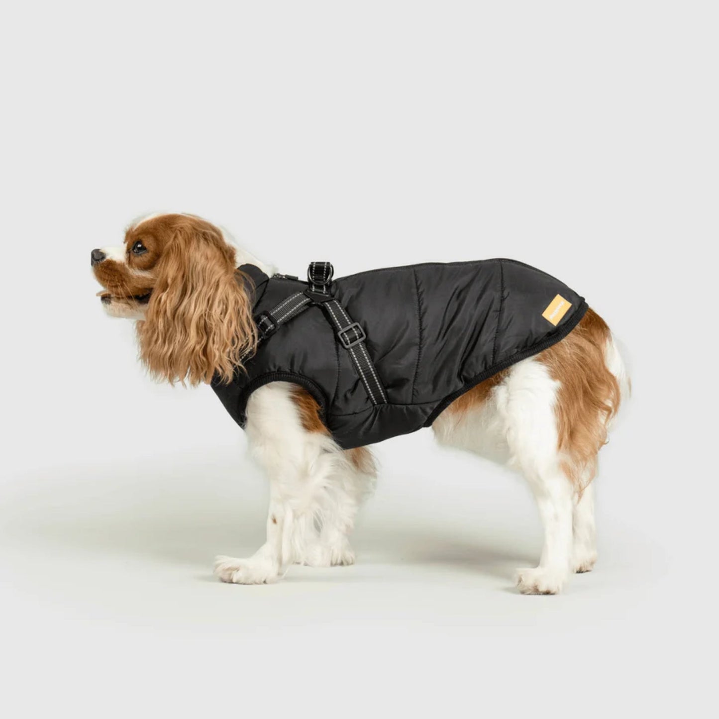 DoggyKings™ 3-i-1 hundefrakke
