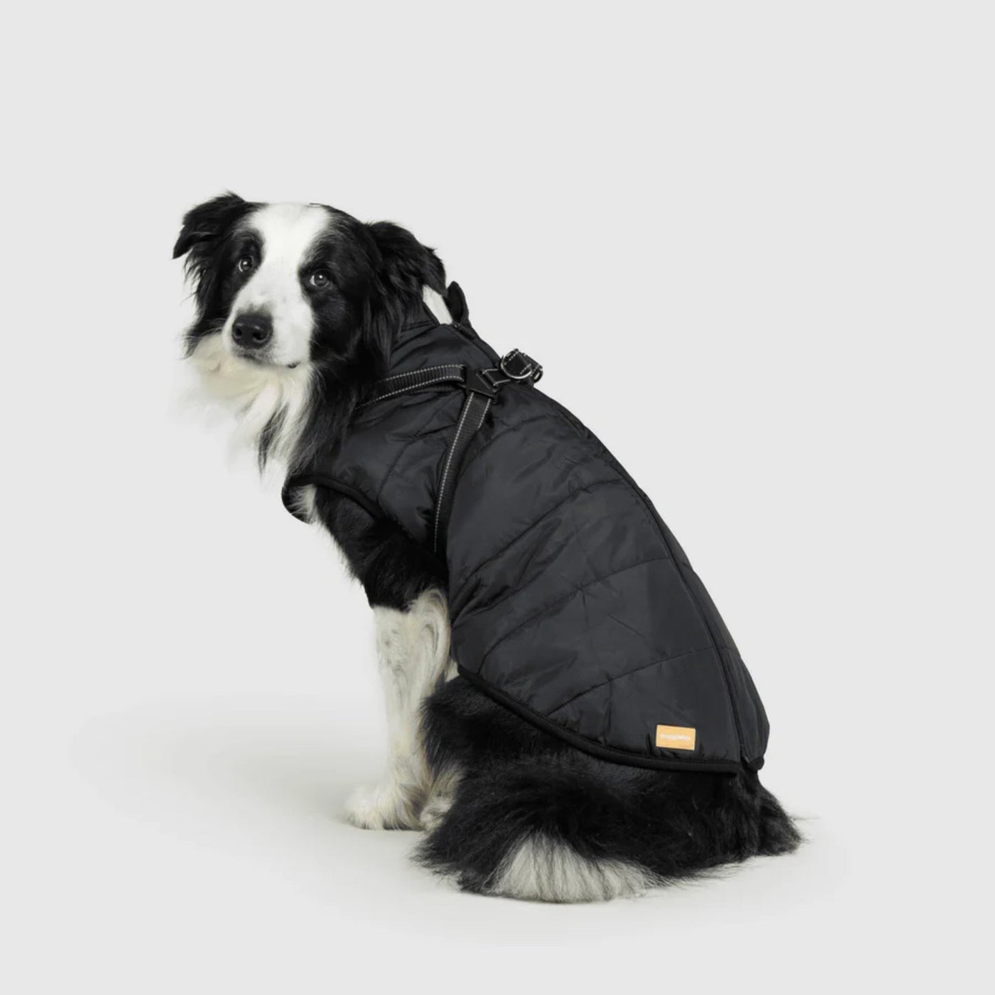 DoggyKings™ 3-i-1 hundefrakke