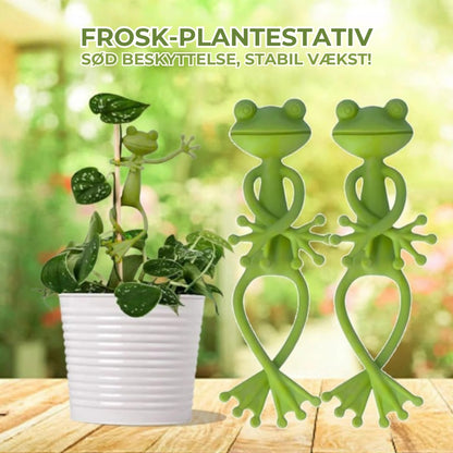 Sød, elegant frø-planteholder (5 stk.)