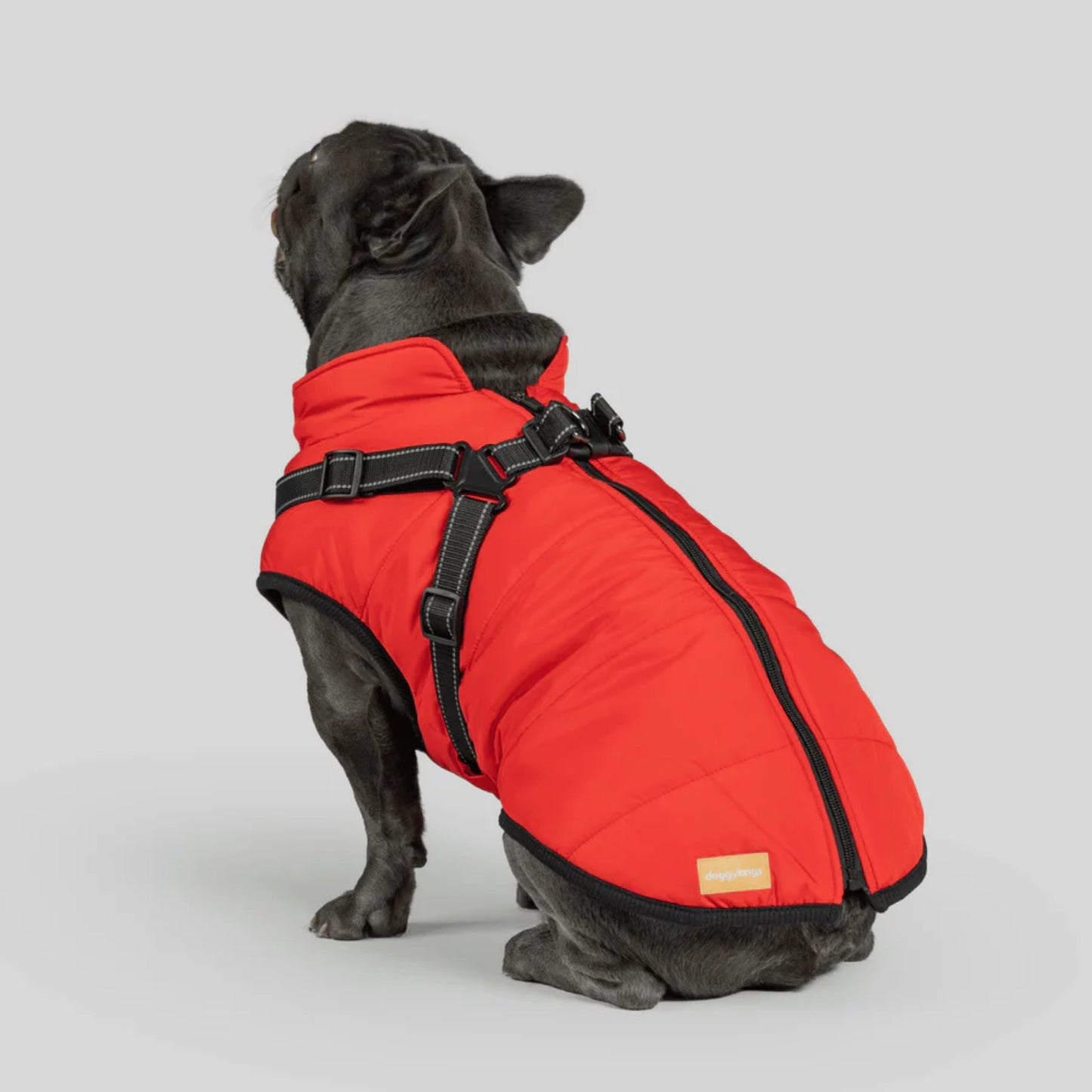 DoggyKings™ 3-i-1 hundefrakke