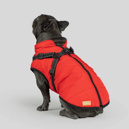 DoggyKings™ 3-i-1 hundefrakke