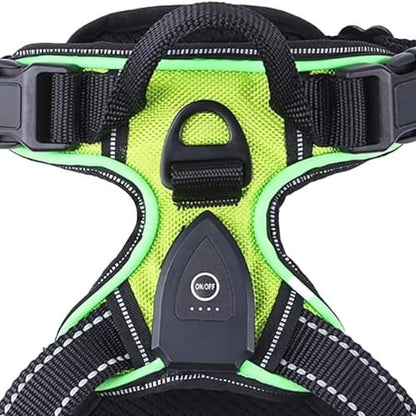 Pawgear LED-lys - Lysende hundesele