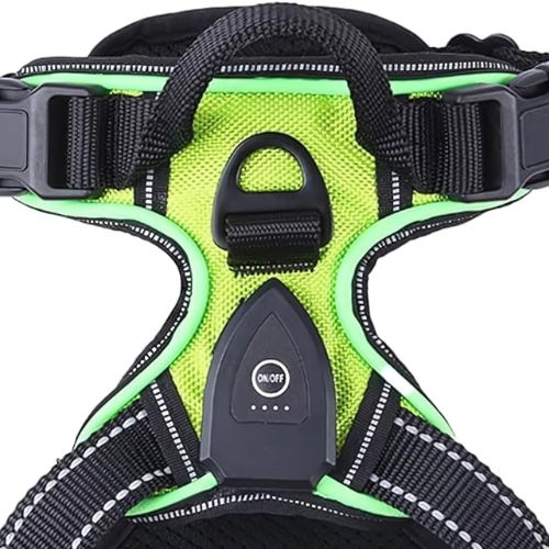 Pawgear LED-lys - Lysende hundesele
