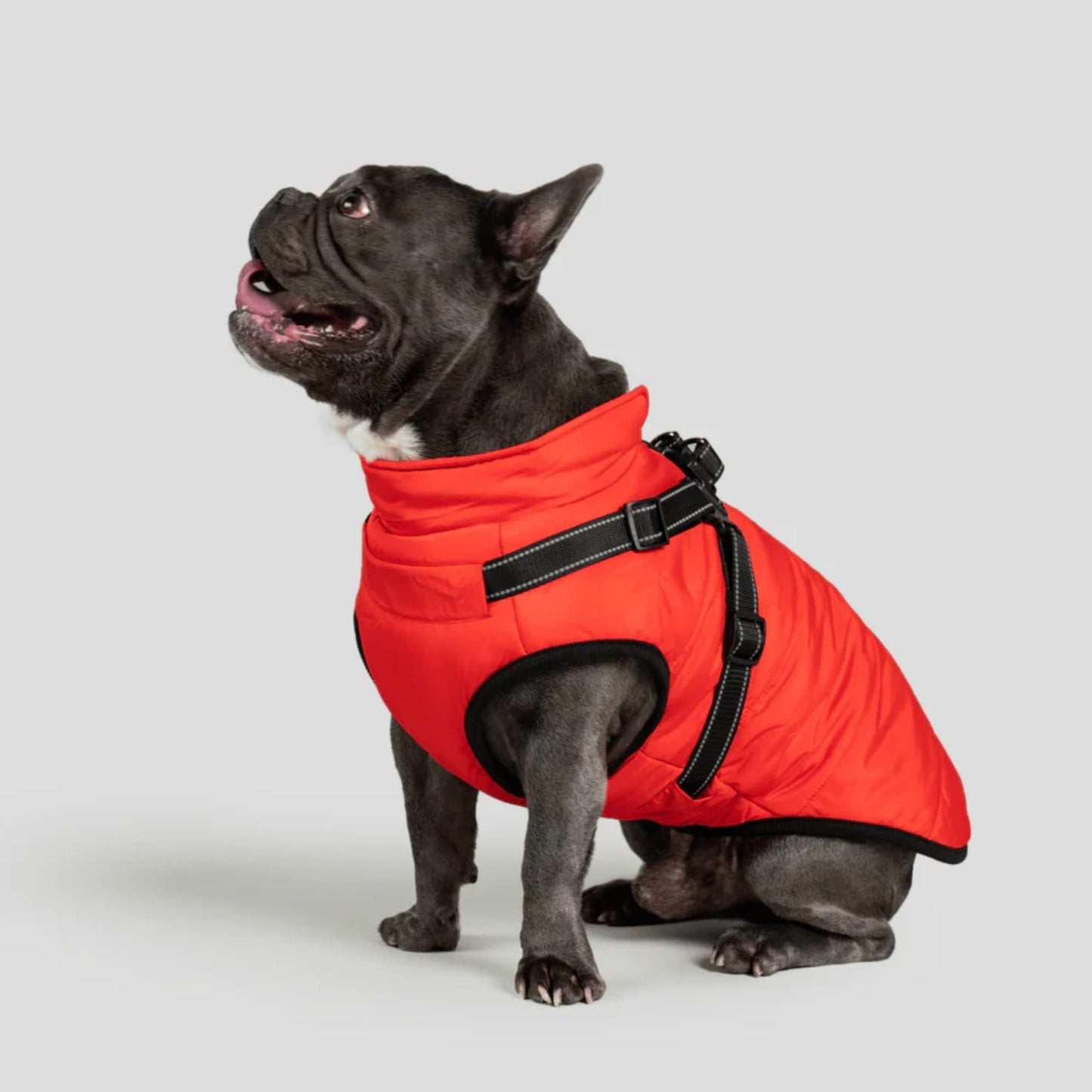 DoggyKings™ 3-i-1 hundefrakke