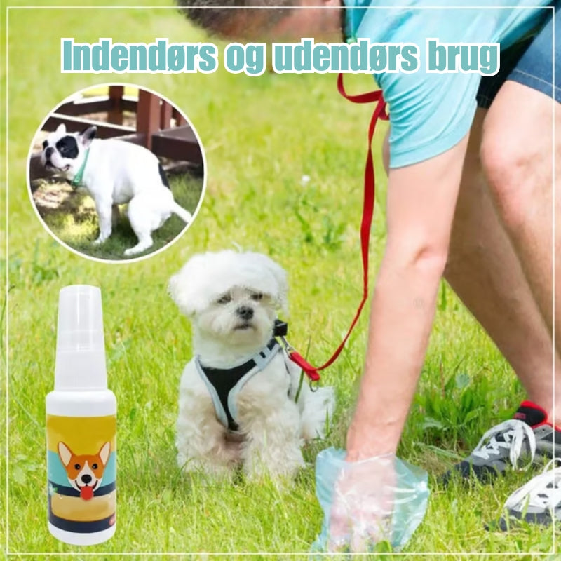 Hundetræningsspray