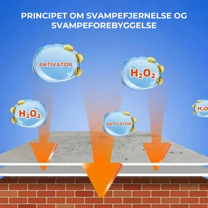 Hurtigtvirkende spray mod skimmelsvamp