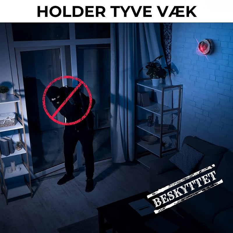 Falsk sikkerhedskamera