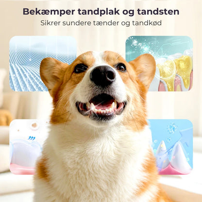 Tandrensningsspray til kæledyr