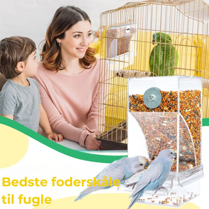 🔥Automatisk fuglefoderbræt uden spild