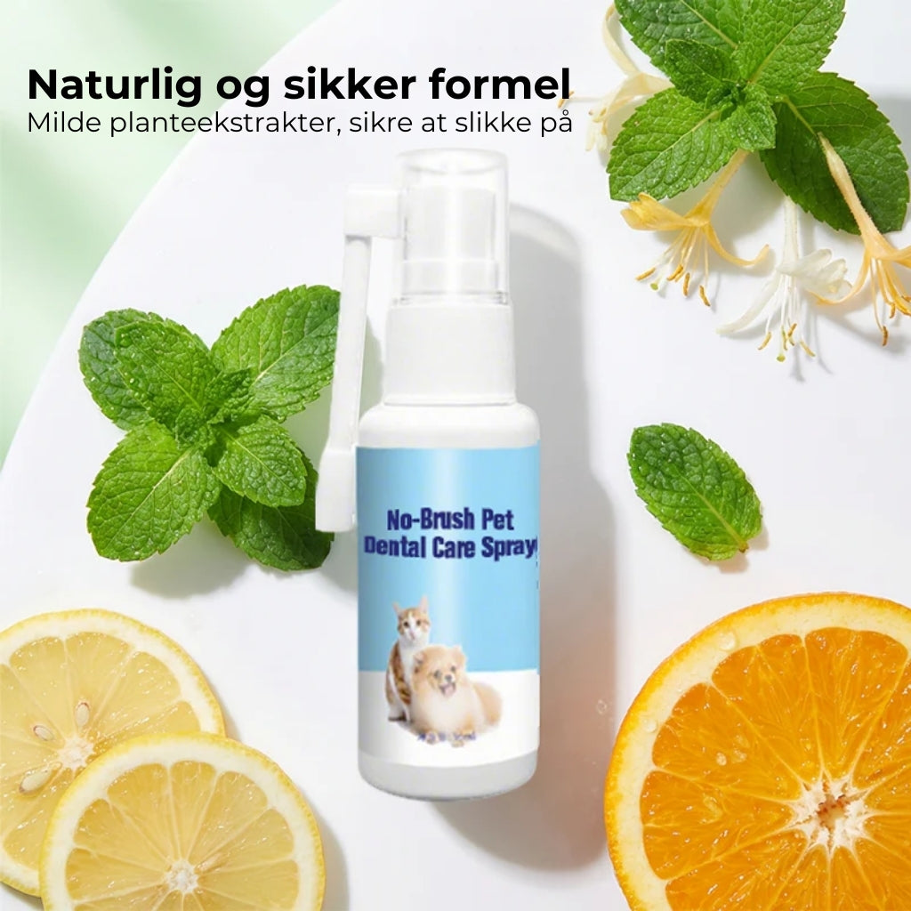 Tandplejespray til kæledyr