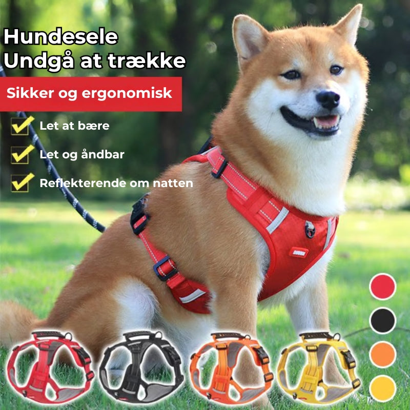 Anti-Trek hundesele