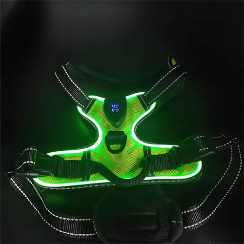 Pawgear LED-lys - Lysende hundesele