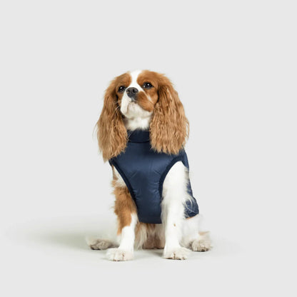 DoggyKings™ 3-i-1 hundefrakke
