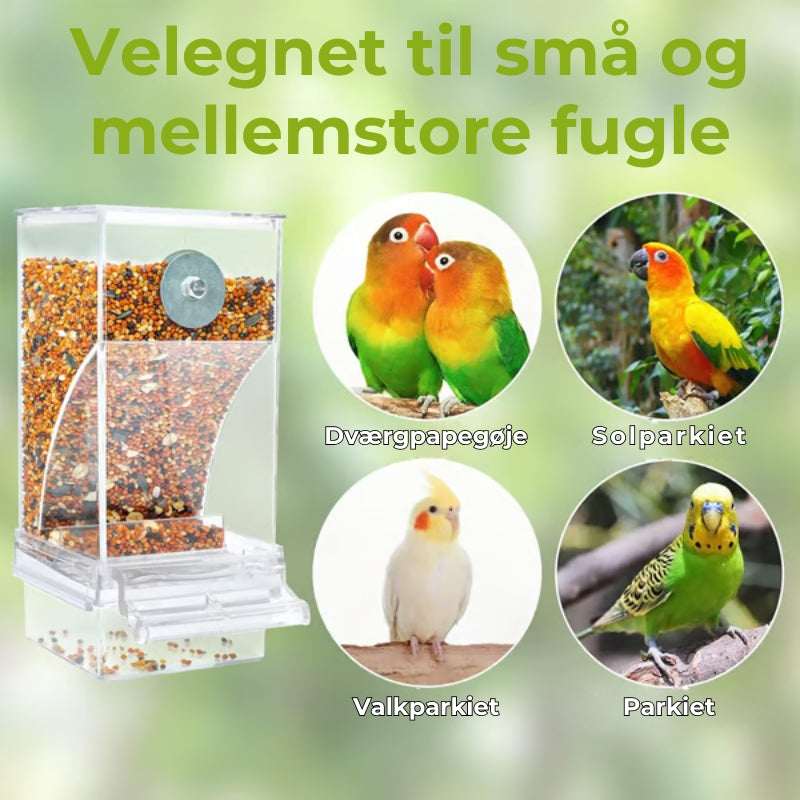 🔥Automatisk fuglefoderbræt uden spild