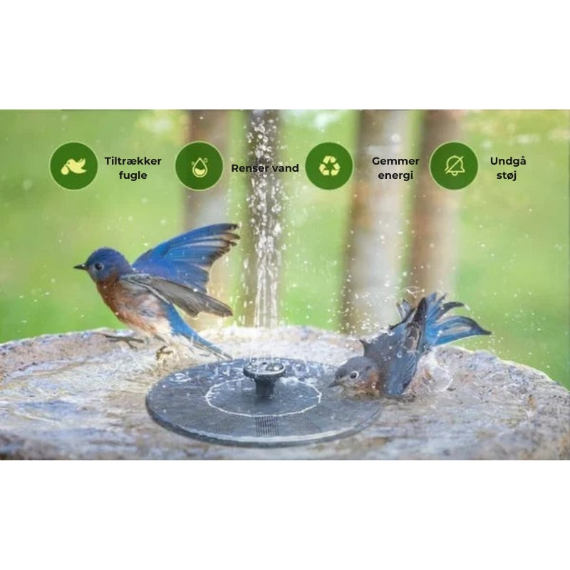 🐦️ Solcelledrevne fuglebade