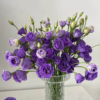 Eustoma – tornfri roser – frø (100 stk.) 💐 Lisianthus-frø