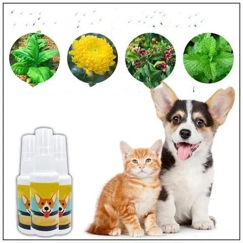 Hundetræningsspray