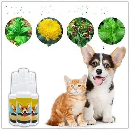 Hundetræningsspray