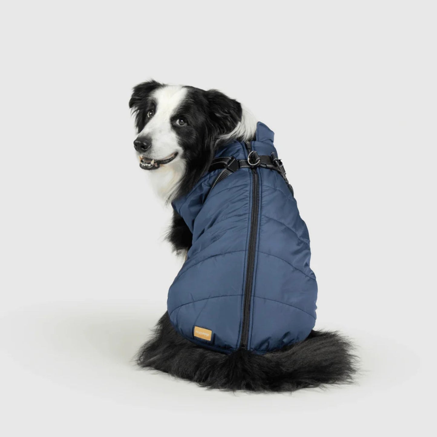 DoggyKings™ 3-i-1 hundefrakke