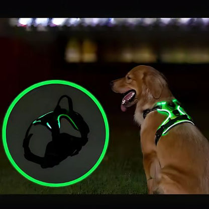 Pawgear LED-lys - Lysende hundesele