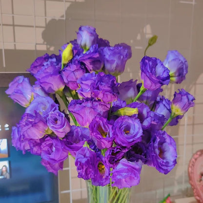Eustoma – tornfri roser – frø (100 stk.) 💐 Lisianthus-frø