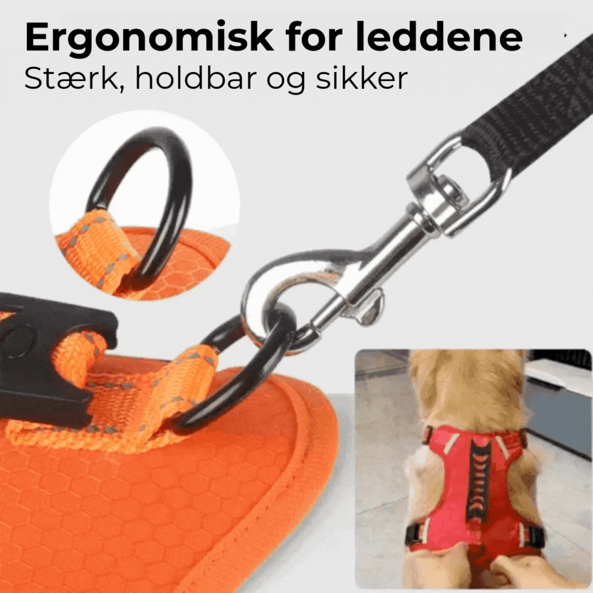 Anti-Trek hundesele