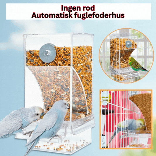 🔥Automatisk fuglefoderbræt uden spild