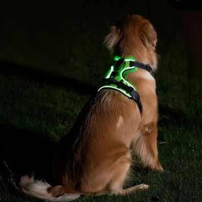 Pawgear LED-lys - Lysende hundesele