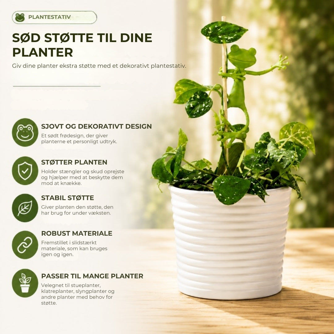Sød, elegant frø-planteholder (5 stk.)