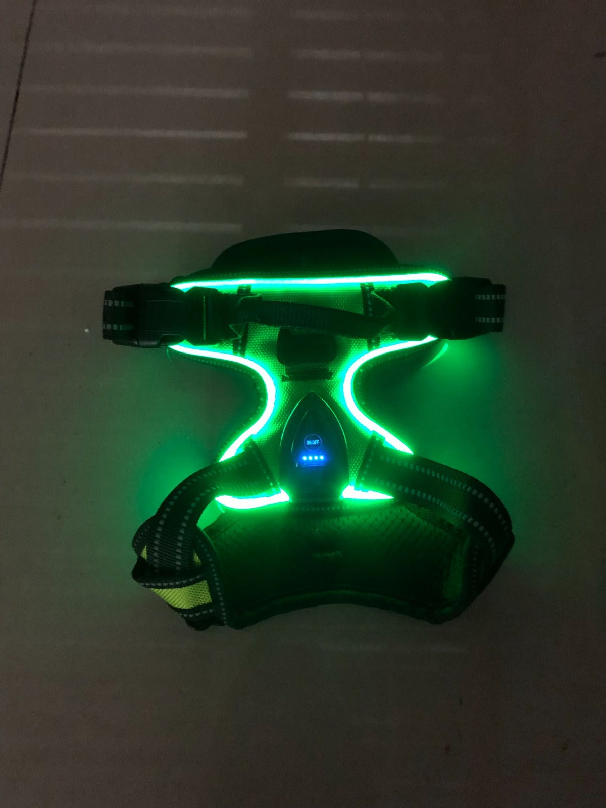 Pawgear LED-lys - Lysende hundesele