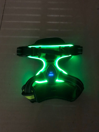 Pawgear LED-lys - Lysende hundesele
