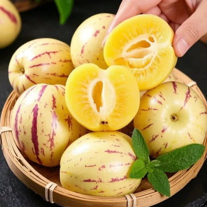Pepino-melon-frøblanding – 1000 stk.
