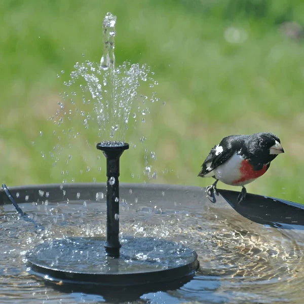 🐦️ Solcelledrevne fuglebade