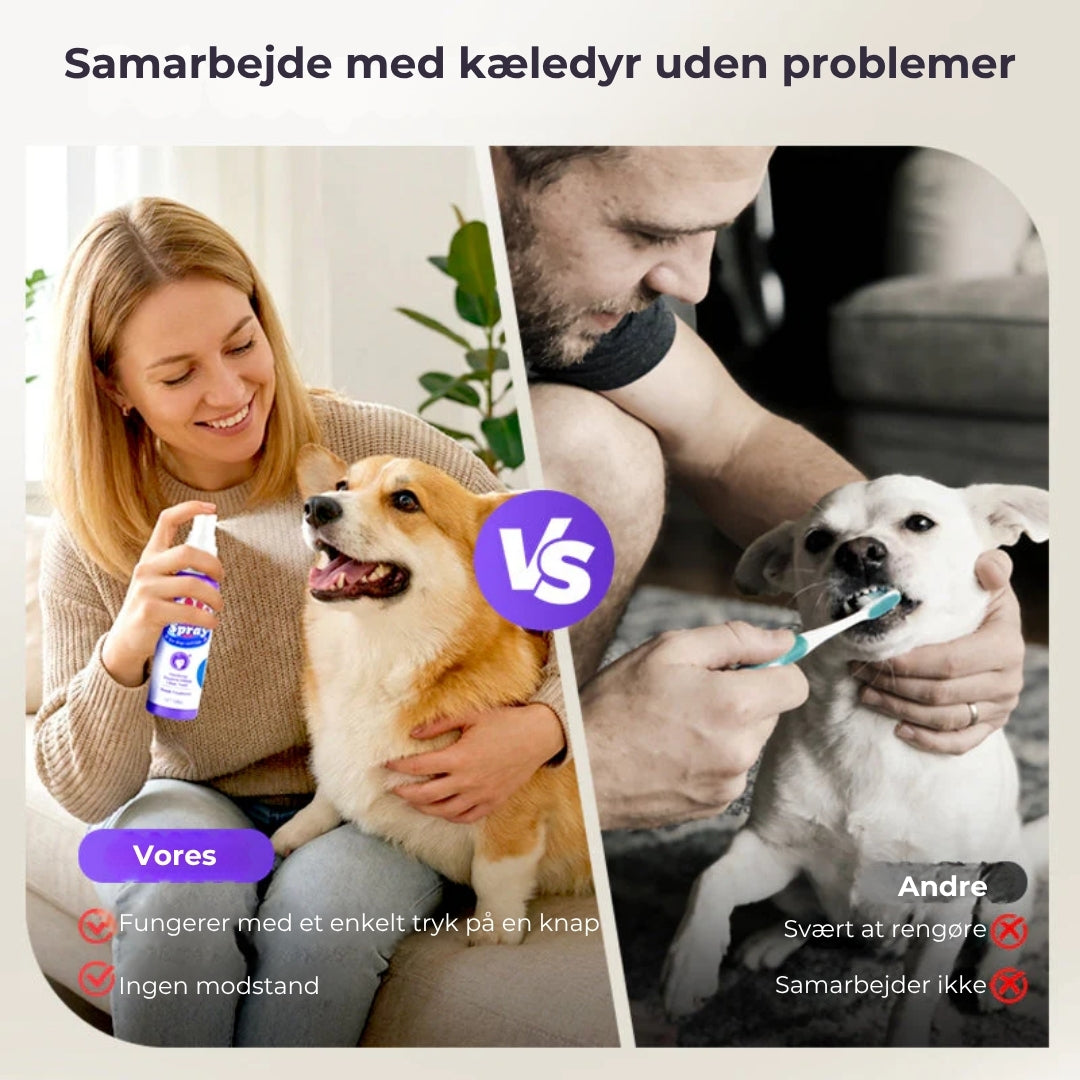 Tandrensningsspray til kæledyr